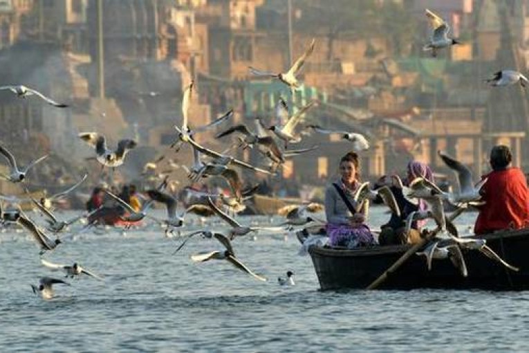 Can a river be blocked? Can it be diverted to a point where there is virtually no water flowing in long stretches? And what about riverine creatures like the Gangetic dolphin—do they have rights as part of the river ecosystem? | Photo Credit: R.V. Moorthy