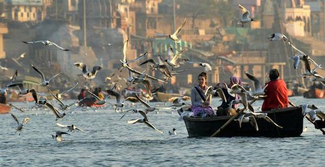 Can a river be blocked? Can it be diverted to a point where there is virtually no water flowing in long stretches? And what about riverine creatures like the Gangetic dolphin—do they have rights as part of the river ecosystem? | Photo Credit: R.V. Moorthy