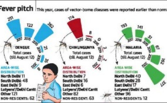 City feels the sting as dengue, chikungunya cases cross 600