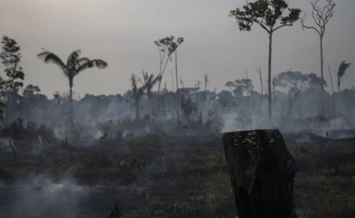 Nature losses threaten emerging economies