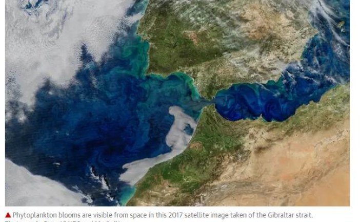 Oceans’ capacity to absorb CO2 overestimated, study suggests