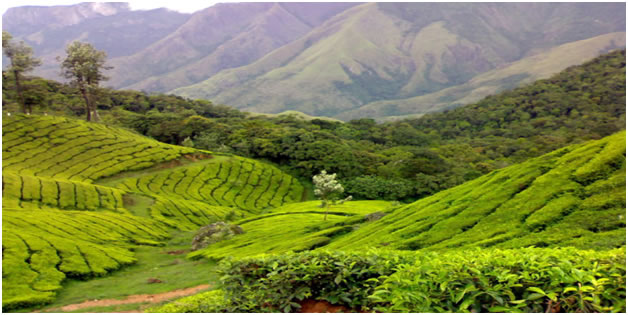 Environmental Challenges and National Security: An Indian Perspective ...
