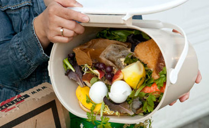 Food wastage is wrecking our environment, let’s think before we throw
