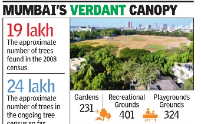 HC asks BMC to spell out plan to increase city’s green cover