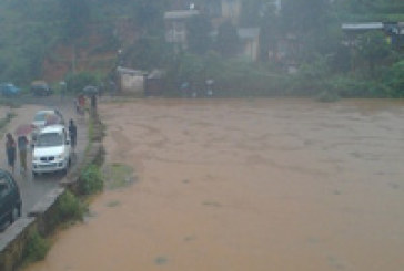 90,000 affected in Assam floods, Brahmaputra above danger mark