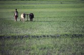 Economic Inclusion and Environmental Sustainability: Case Study Meghalaya