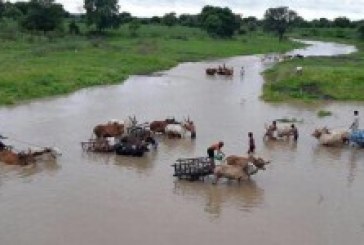 Water levels rise in 3,247 dams