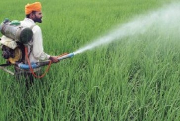 Toxic pesticides still on sale across India