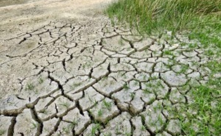 Govt panel to tackle climate change