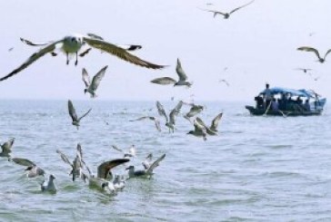 Proposed water aerodrome in Chilika Lake likely to face green hurdle