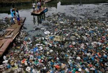 Scientists may have found a way to eliminate plastic waste for good