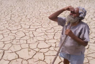 Nearly 30% of India’s land degraded; will soon set voluntary target to combat it: Environment Min official