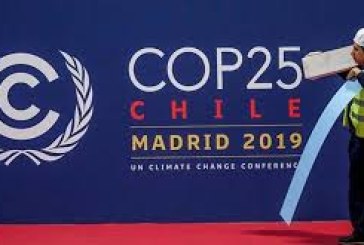India “walking the talk” on climate change commitments, says Prakash Javadekar at COP 25