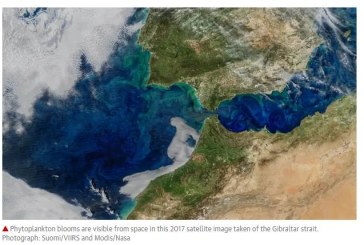 Oceans’ capacity to absorb CO2 overestimated, study suggests