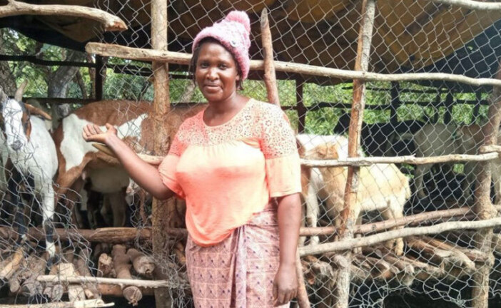 FROM THE FIELD: The goats helping Zambians to reach economic independence
