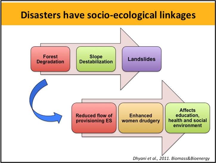 Nature based Solutions for reducing disaster risks and resilience ...