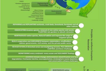 Ecosystem Restoration: Trajectory to accelerate ecosystem recovery