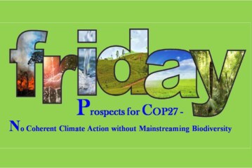 No Coherent Climate Action without Mainstreaming Biodiversity