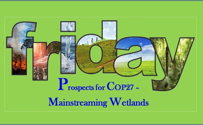 Mainstreaming Wetlands