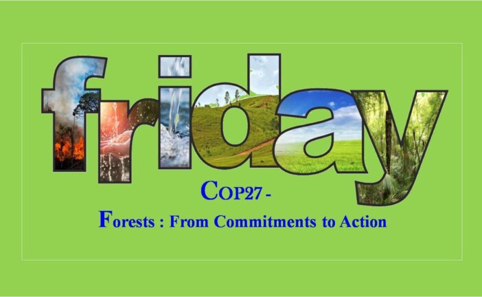 Forests : From Commitments to Action
