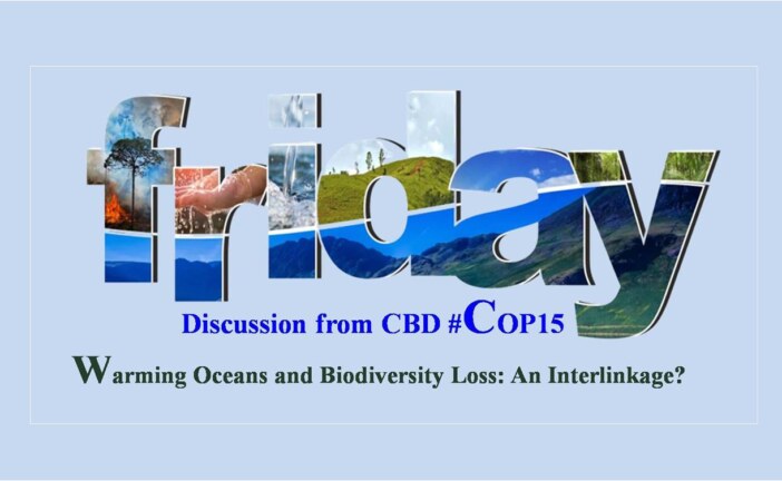 Warming Oceans and biodiversity loss: An interlinkage?