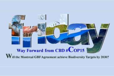 Will the Montreal GBF Agreement achieve biodiversity targets by 2030?