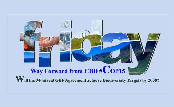 Will the Montreal GBF Agreement achieve biodiversity targets by 2030?