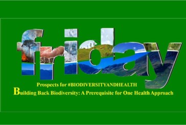 Building Back Biodiversity: A Prerequisite for One Health Approach