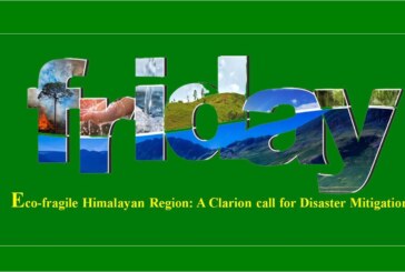 Eco-fragile Himalayan Region: A clarion call for disaster Mitigation