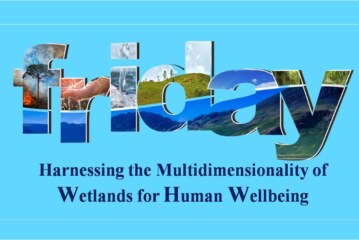 Harnessing the Multidimensionality of Wetlands for Human Wellbeing