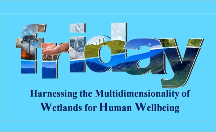 Harnessing the Multidimensionality of Wetlands for Human Wellbeing