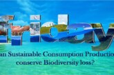 ​Can sustainable consumption production conserve Biodiversity loss? 
